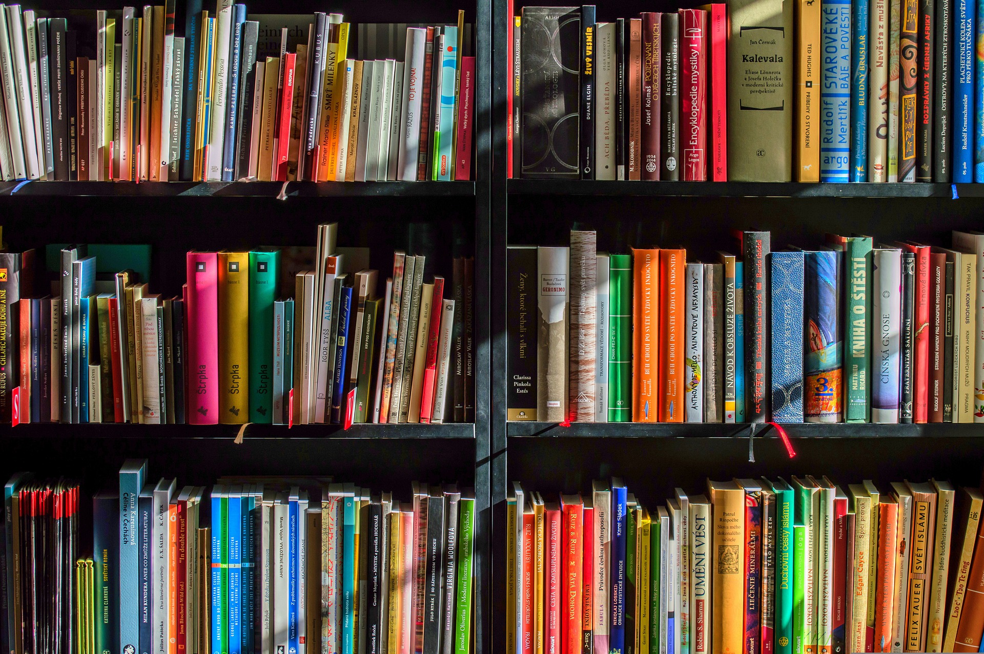 books-g8db23659f_1920